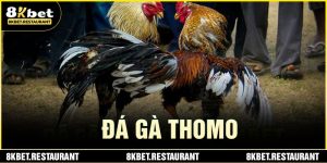 da-ga-thomo