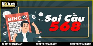 soi-cau-568