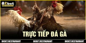 truc-tiep-da-ga